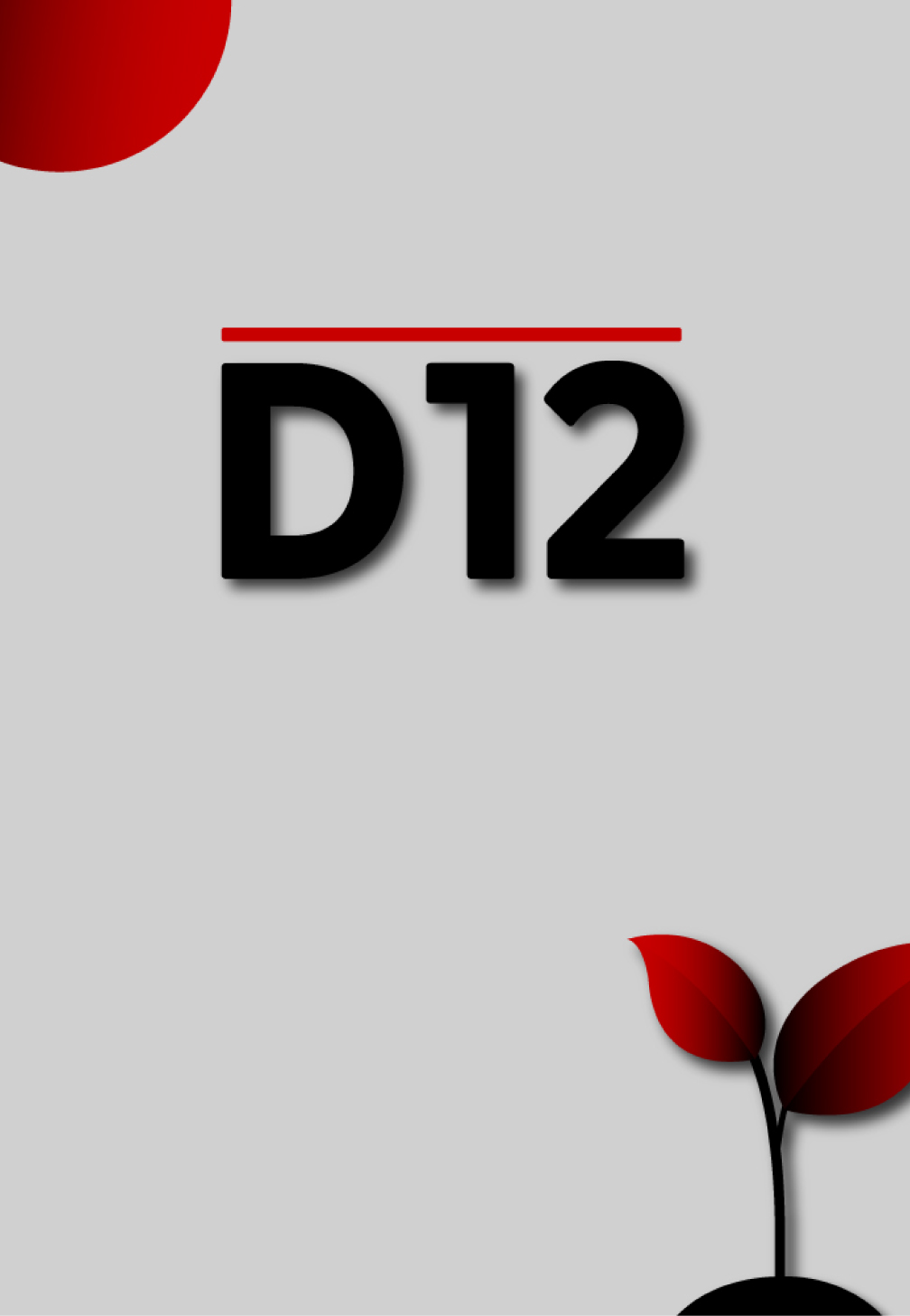 avakuk D12